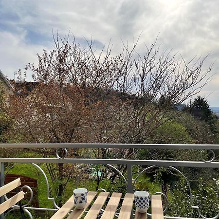 Mon Appart'Hotel - Climatisation Avec Parking Gratuit Brive-la-Gaillarde Eksteriør billede